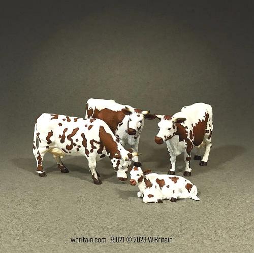 VG Series: Brown Randall Lineback Cows